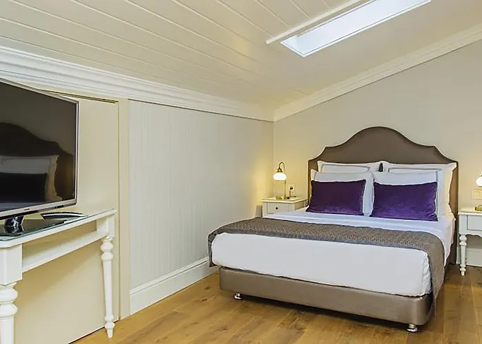 Meroddi Galata Mansion Отель 3*