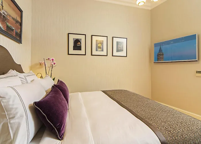 Hotel Meroddi Galata Mansion